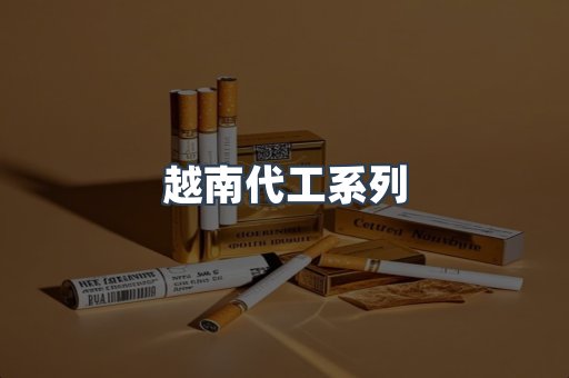 越南代工系列